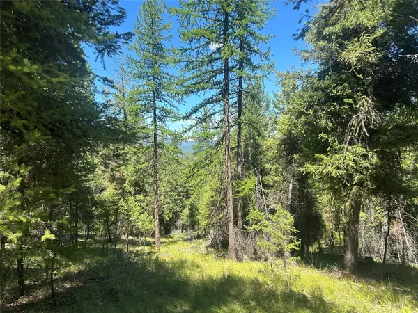 332 Racheals Meadow LN, Kila, MT 59920