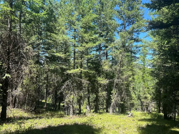 332 Racheals Meadow LN, Kila, MT 59920