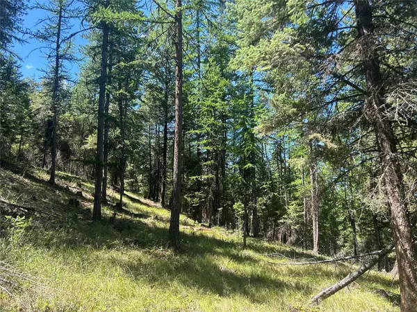 332 Racheals Meadow LN, Kila, MT 59920