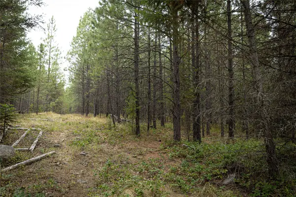 30 Big Loaf LN, Libby, MT 59923