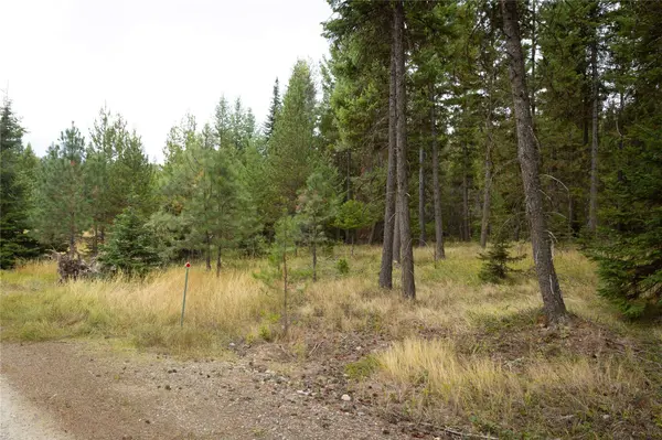 30 Big Loaf LN, Libby, MT 59923
