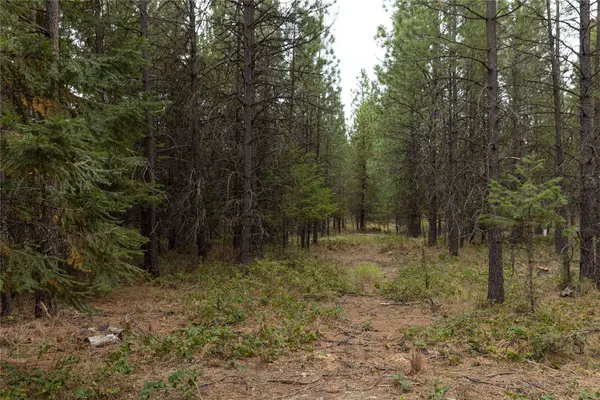 30 Big Loaf LN, Libby, MT 59923