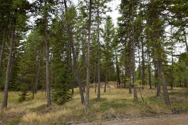 30 Big Loaf LN, Libby, MT 59923