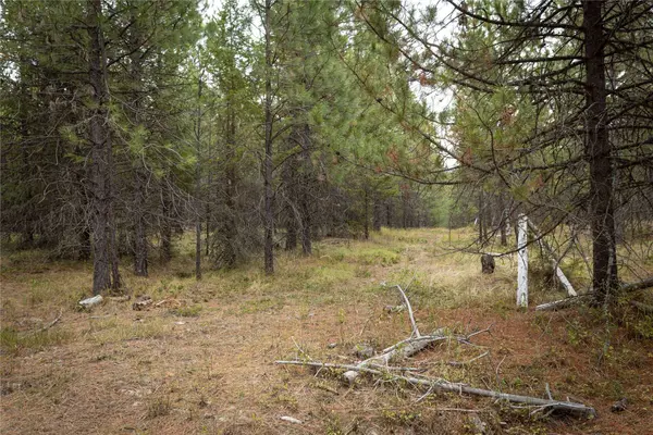 30 Big Loaf LN, Libby, MT 59923