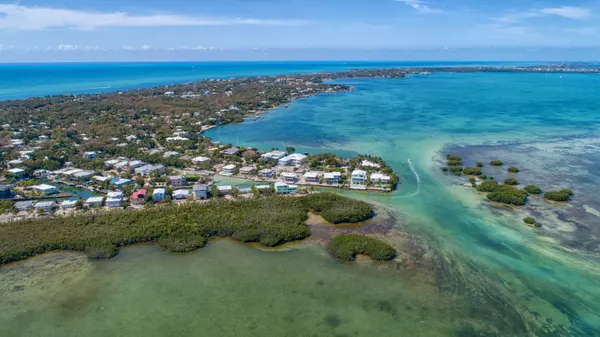 Tavernier Drone
