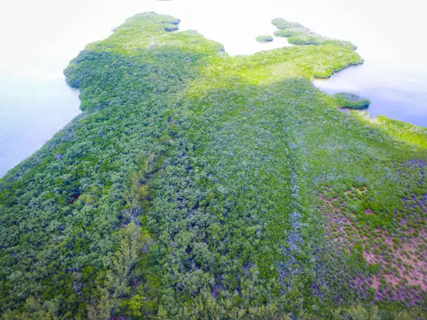 Main Key, Key Largo, FL 33037