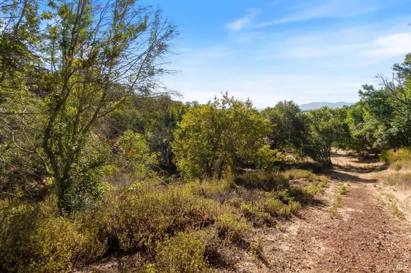 0 Cedar AVE, Novato, CA 94945