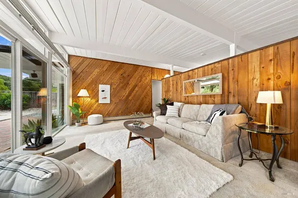 913 Appleberry DR, San Rafael, CA 94903