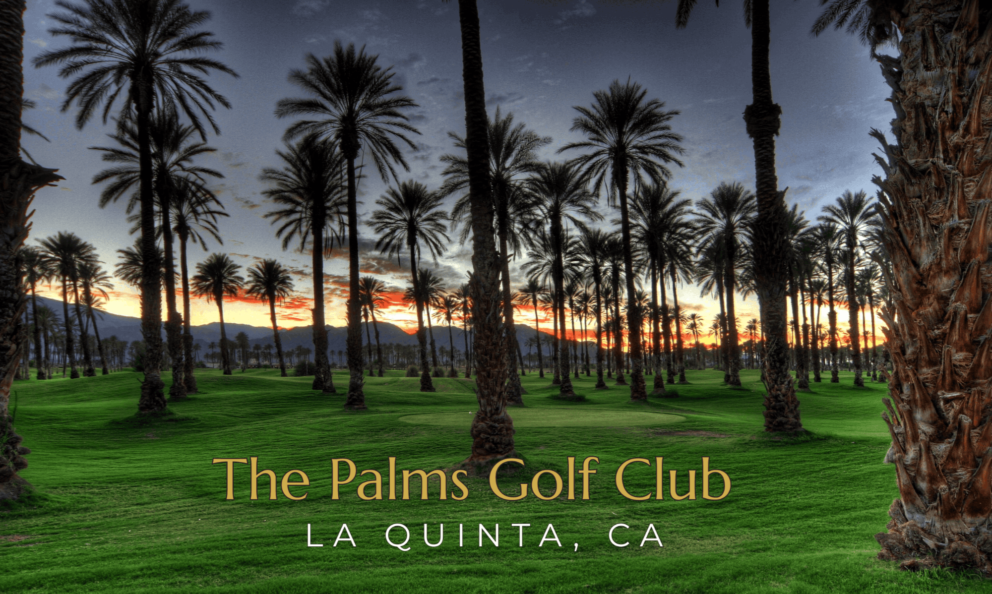 The Palms Golf Club in La Quinta, California, featuring a golf course framed by mature date palms and Santa Rosa Mountain views