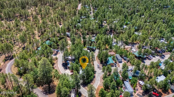 3810 S MULE SKINNER Loop #86, Show Low, AZ 85901