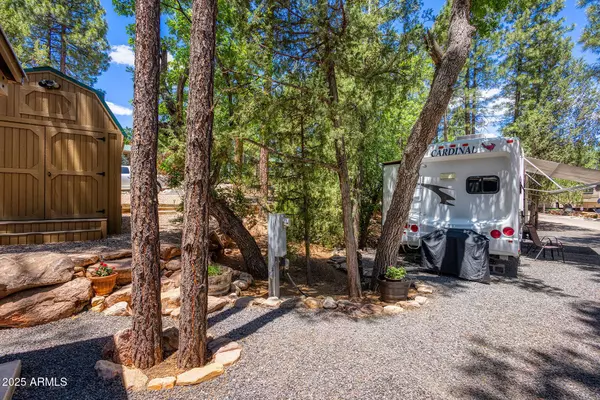 3810 S MULE SKINNER Loop #86, Show Low, AZ 85901