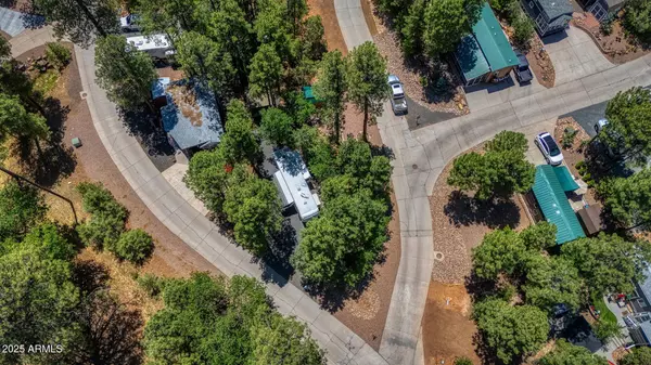 3810 S MULE SKINNER Loop #86, Show Low, AZ 85901