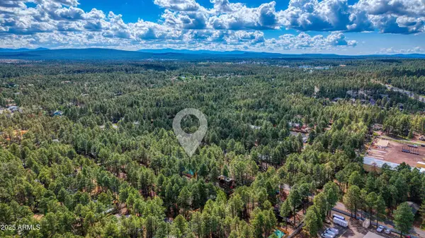 5382 PINE DAWN Road, Lakeside, AZ 85929