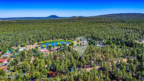 1551 S Blue Lane, Lakeside, AZ 85929