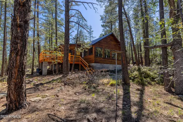 1551 S Blue Lane, Lakeside, AZ 85929