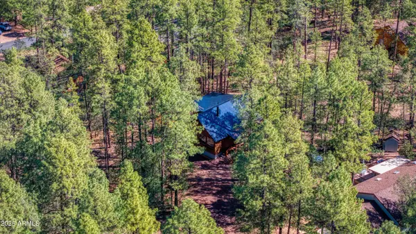 1551 S Blue Lane, Lakeside, AZ 85929