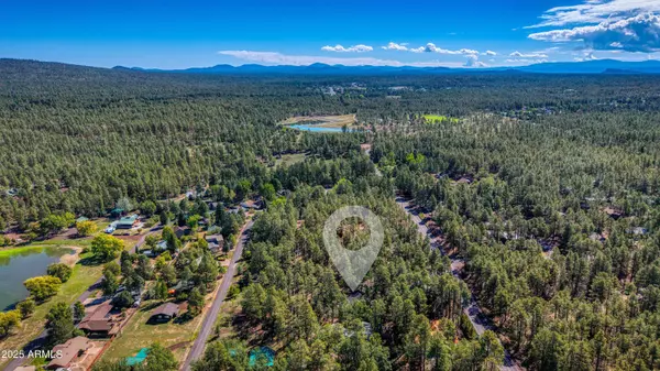 1551 S Blue Lane, Lakeside, AZ 85929