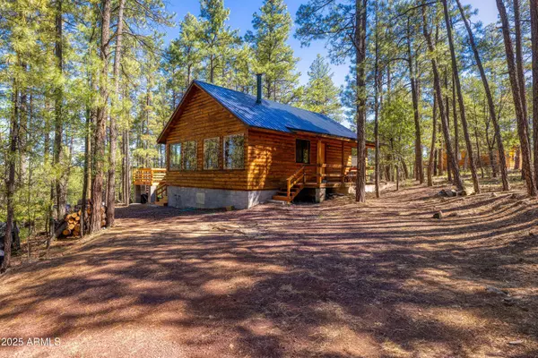 1551 S Blue Lane, Lakeside, AZ 85929