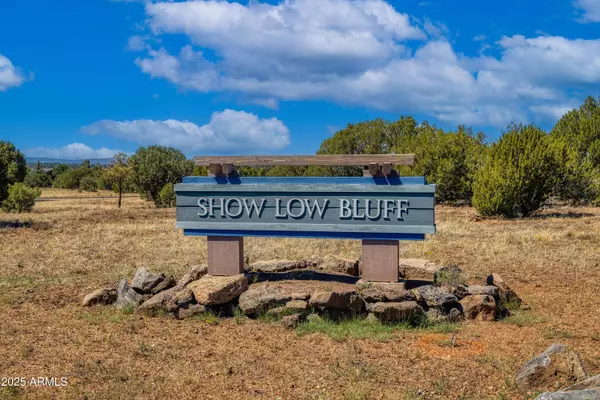 741 S Rockcreek Drive #66, Show Low, AZ 85901