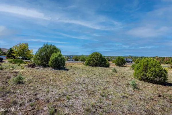 741 S Rockcreek Drive #66, Show Low, AZ 85901