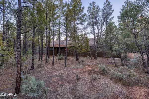 3400 GOODWILL Lane, Lakeside, AZ 85929