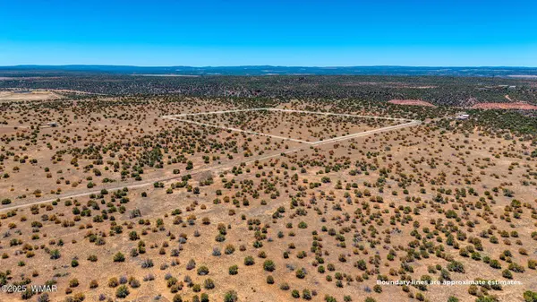 Shumway Rd - Lot 2, Shumway, AZ 85901