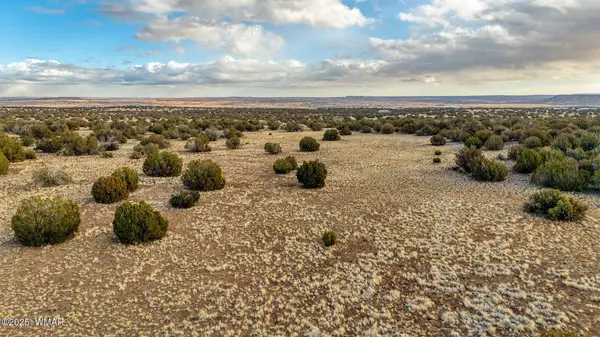Shumway Rd - Lot 1, Shumway, AZ 85901