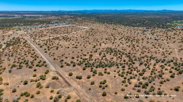 Shumway Rd - Lot 5, Shumway, AZ 85901