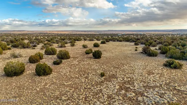 Shumway Rd - Lot 1 -- #-, Shumway, AZ 85901