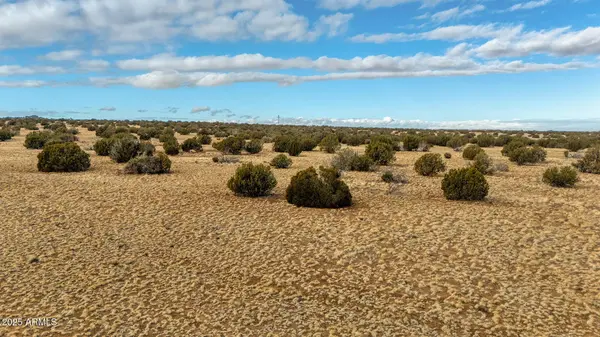 Shumway Rd - Lot 1 -- #-, Shumway, AZ 85901