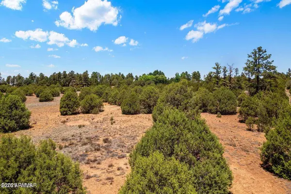 7104 STATE ROUTE 260 -- #-, Show Low, AZ 85901