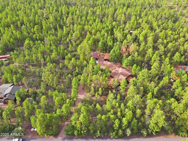 94 W PINE RIDGE Drive, Lakeside, AZ 85929