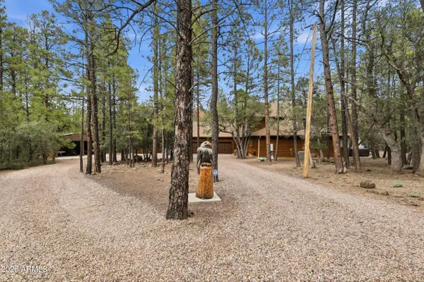 94 W PINE RIDGE Drive, Lakeside, AZ 85929
