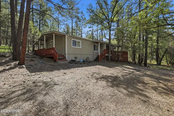 154 W PINE SHADOW Drive