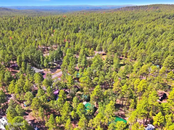 484 Lilly Drive, Lakeside, AZ 85929