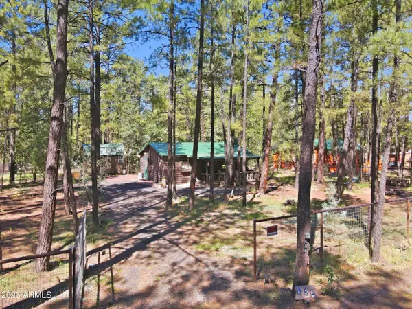 484 LILLY Drive, Lakeside, AZ 85929