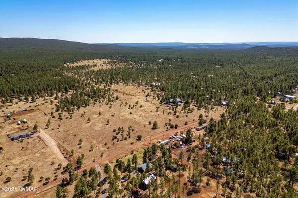 9321 Mountain Meadow Lane, Lakeside, AZ 85929