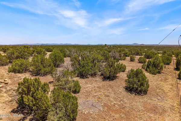 8643 Kaibab Drive, Show Low, AZ 85901