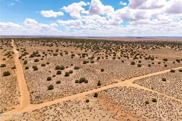 Red Sky Ranch Lot 384, St. Johns, AZ 85936