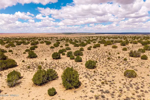 Red Sky Ranch Lot 384, St. Johns, AZ 85936