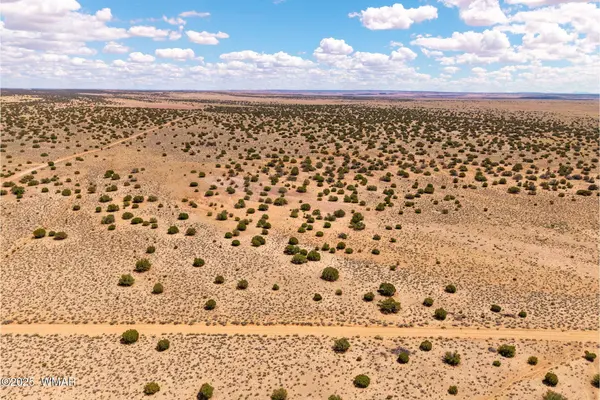Red Sky Ranch Lot 384, St. Johns, AZ 85936
