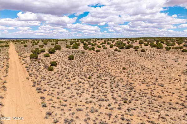 Red Sky Ranch Lot 384, St. Johns, AZ 85936