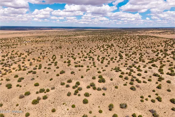 Red Sky Ranch Lot 384, St. Johns, AZ 85936