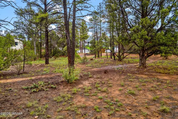 2800 N Eagle View Circle, Show Low, AZ 85901