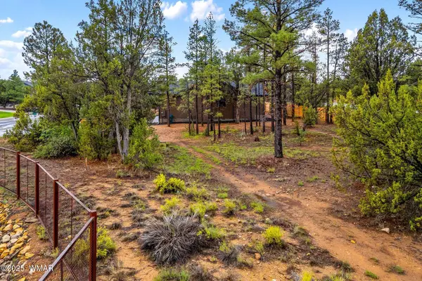 2800 N Eagle View Circle, Show Low, AZ 85901