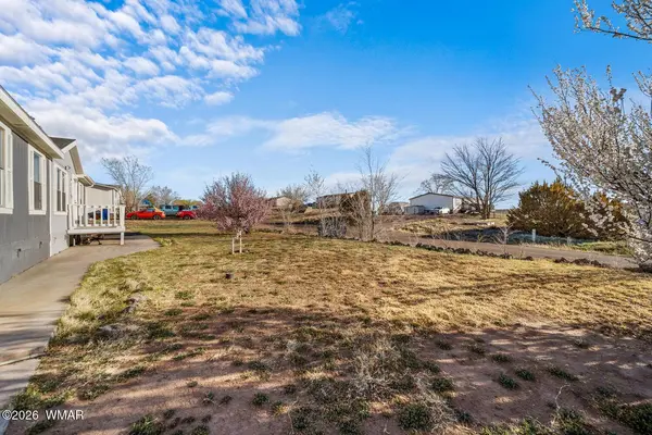 1226 Valley View Drive, Snowflake, AZ 85937