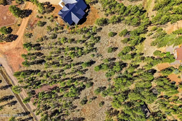 966 Flag Hollow Road, Lakeside, AZ 85929