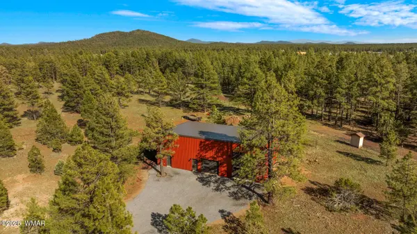 93659361 Mountain Meadow Lane, Lakeside, AZ 85929