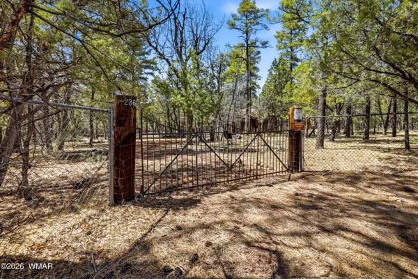 2366 Cedar Avenue, Lakeside, AZ 85929