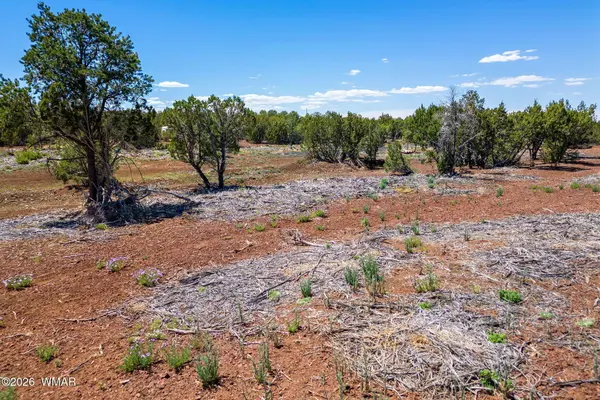 28 N3128, Vernon, AZ 85940